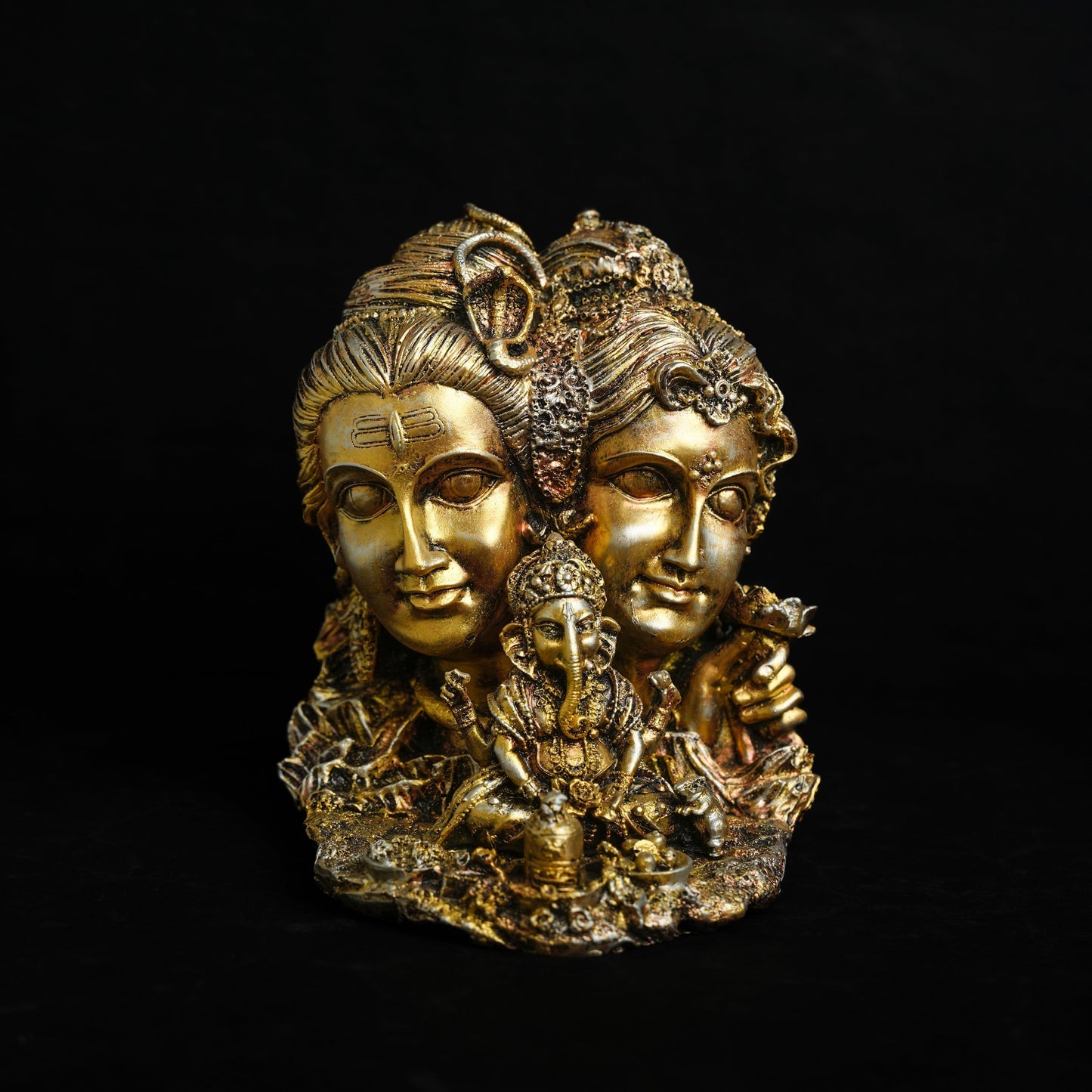 The Divine Shiv Family
