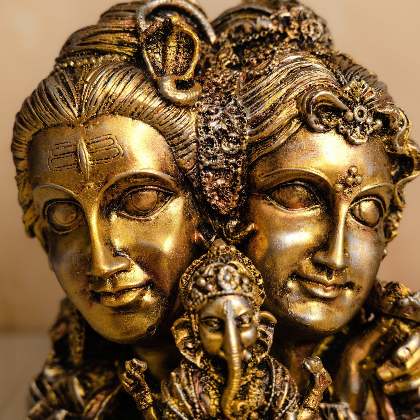 The Divine Shiv Family